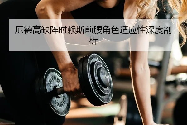 厄德高缺阵时赖斯前腰角色适应性深度剖析